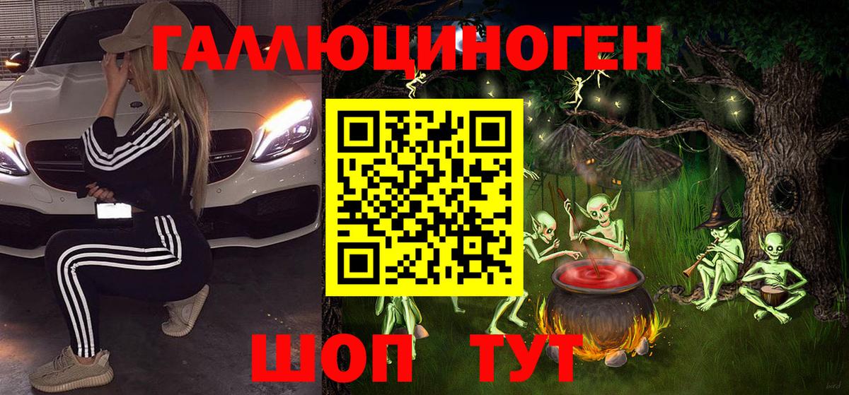 Галлюциногенные грибы Psilocybe Норильск